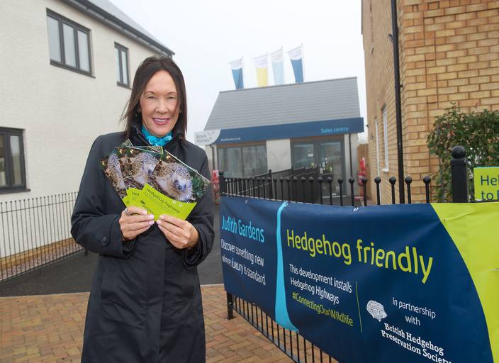 Sawtry housebuilder puts hedgehogs in the fast lane